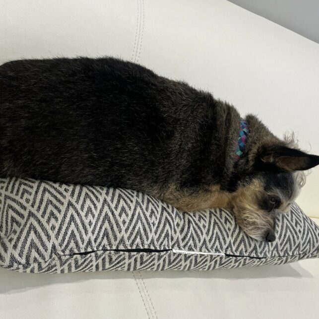 Nola pillow